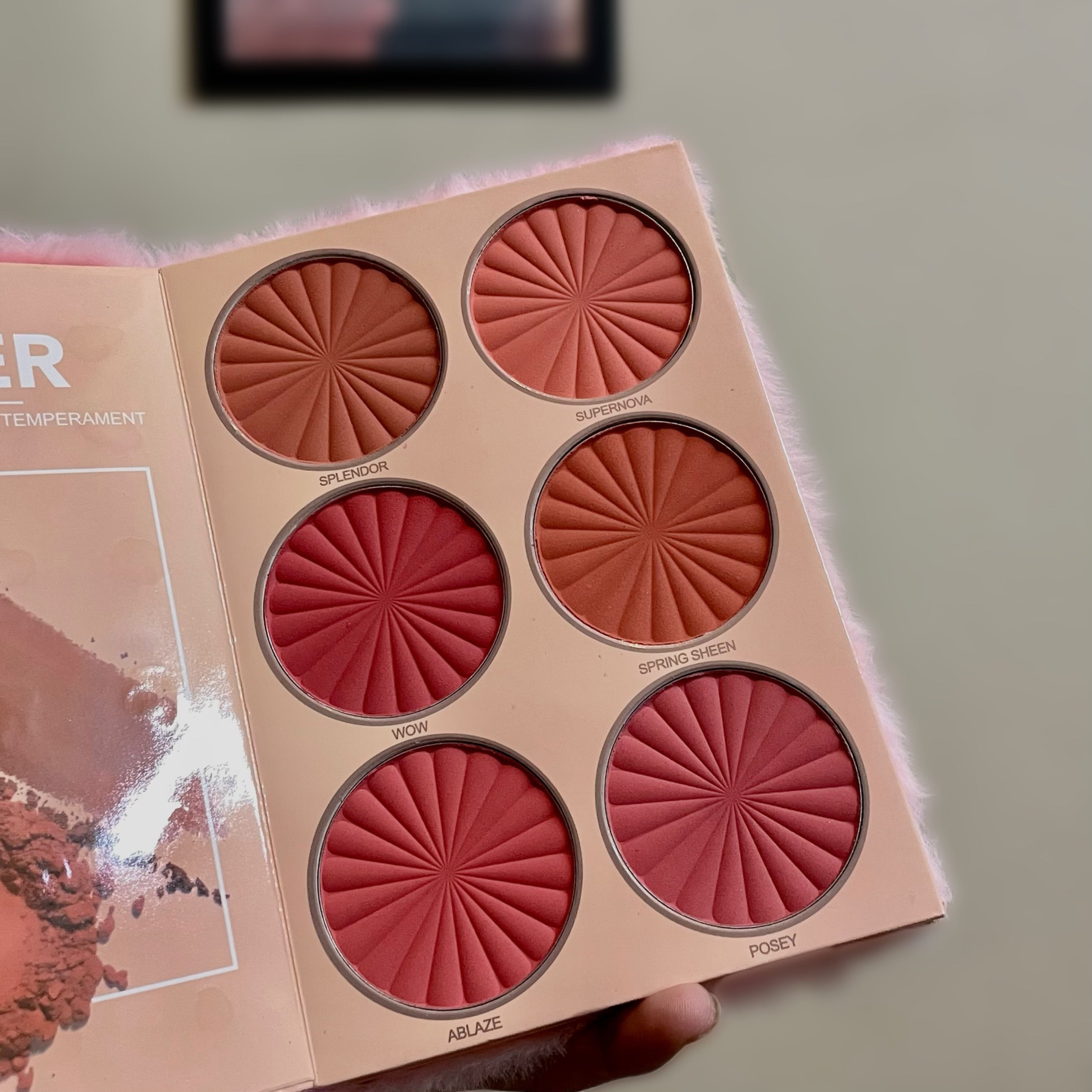 Cute Bunny Makeup Book Palette Eyeshadow Highlighter Blusher Palette