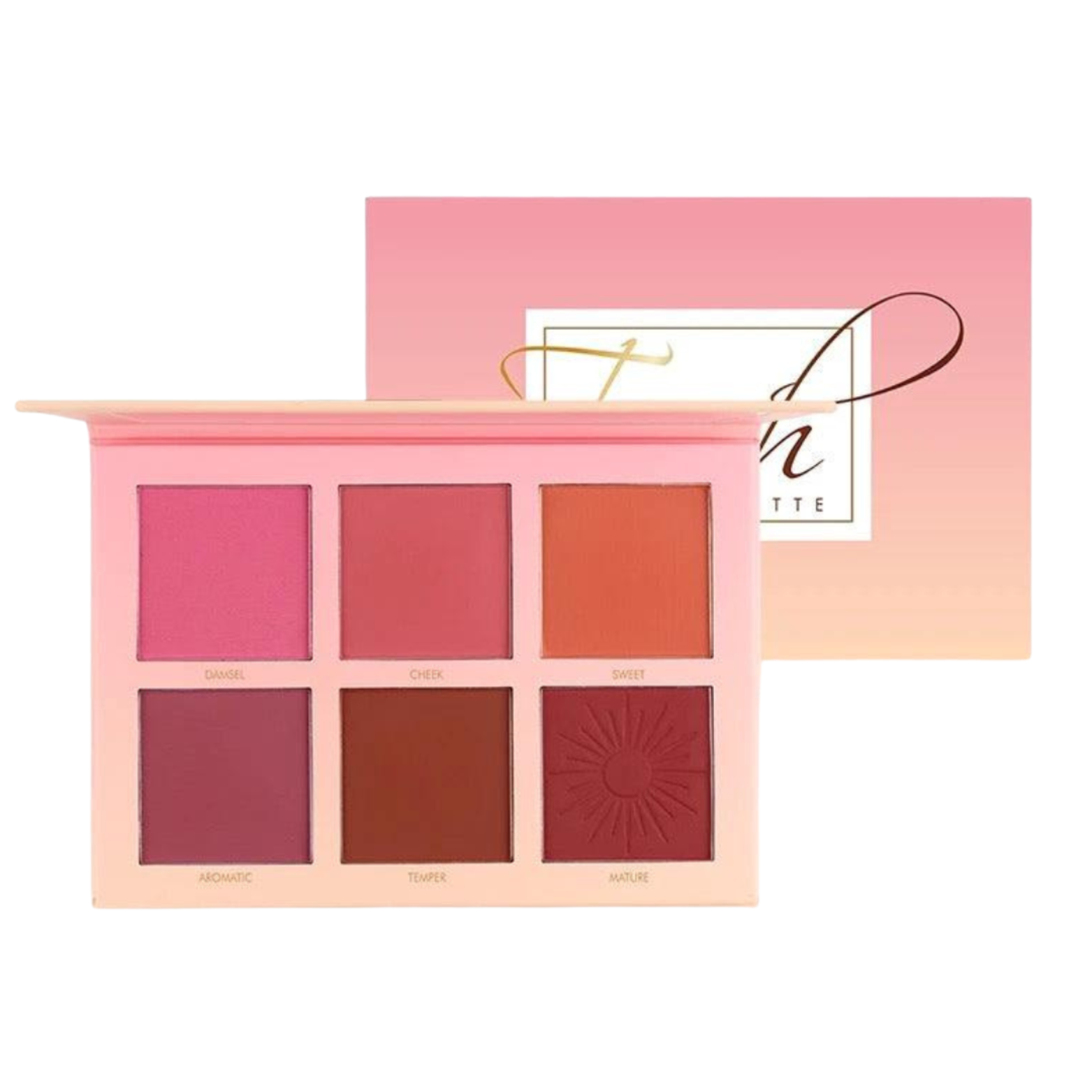 IMAGIC - 6 Color Touch Professional Blush Palette