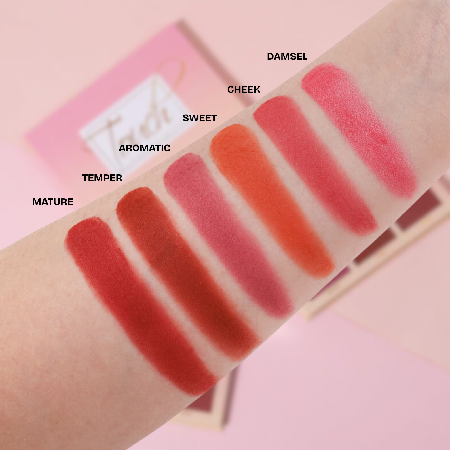 IMAGIC - 6 Color Touch Professional Blush Palette