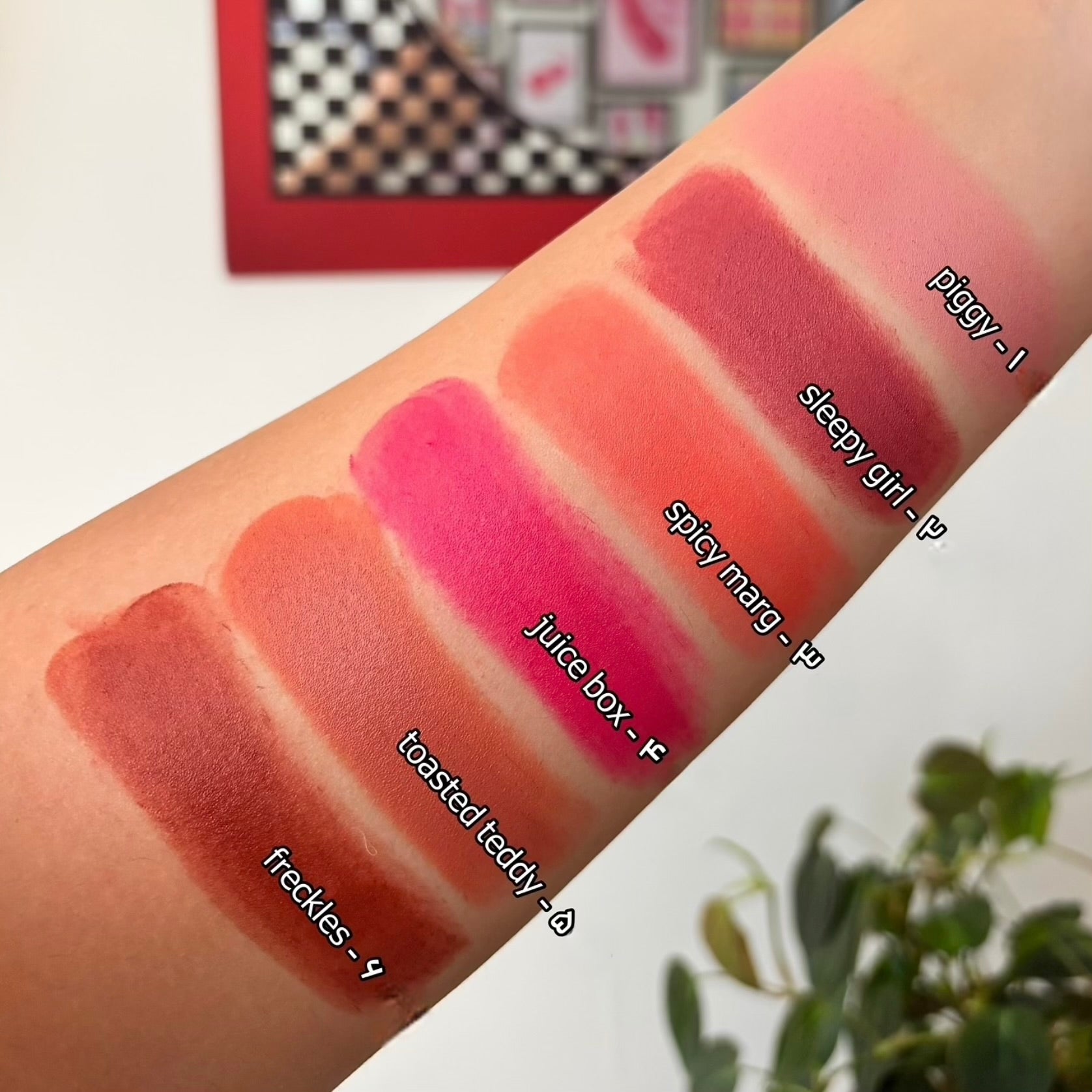 Rhode - Pocket Blush Set of 6