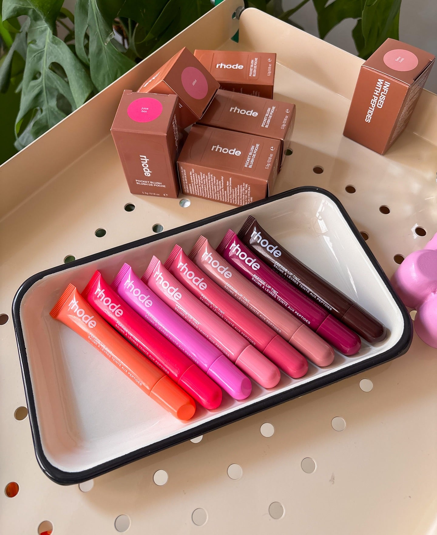 Rhode - The Peptide Lip Tint Set of 8