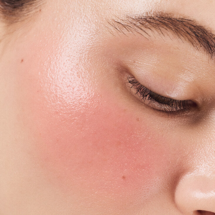 Rhode - Pocket Blush Set of 6