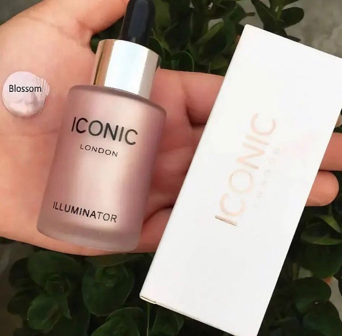 Iconic - Illuminator Glow Liquid Highlighter