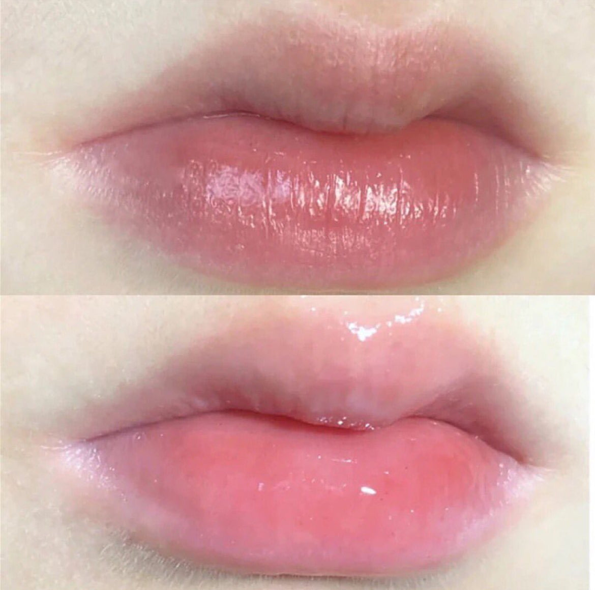 Honey Jar Moisturizing Lip Oil