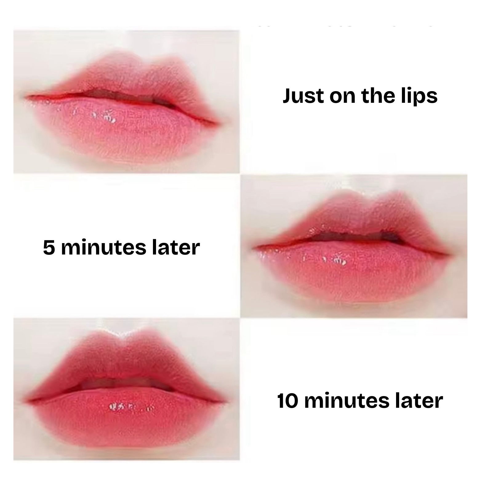 Mocallure - Flower Tinted Jelly Lip Balm